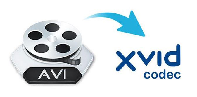 XviD.